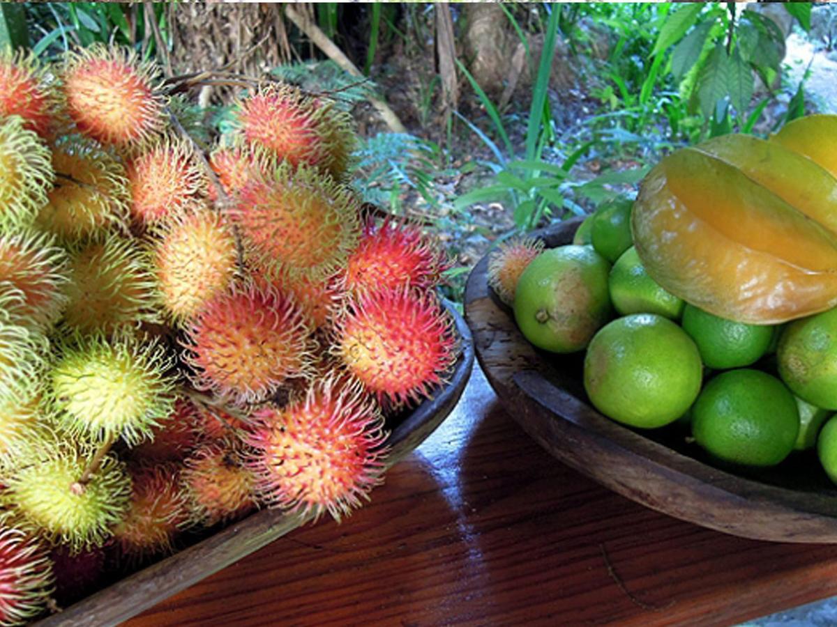 欧米茄旅游生态山林小屋 拉塞瓦 外观 照片
