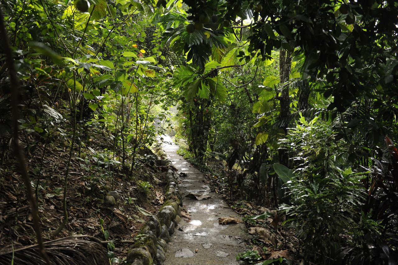 欧米茄旅游生态山林小屋 拉塞瓦 外观 照片