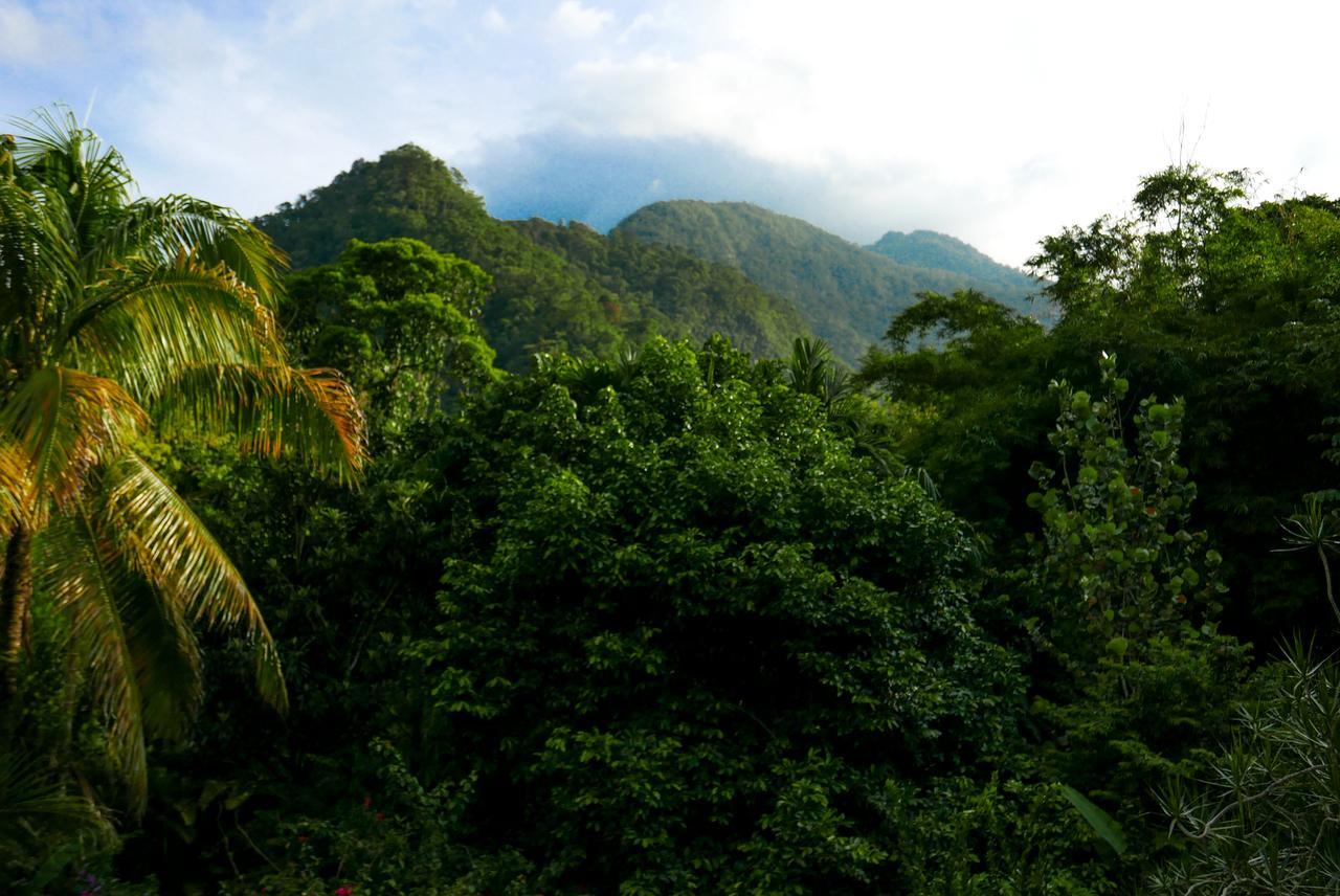 欧米茄旅游生态山林小屋 拉塞瓦 外观 照片